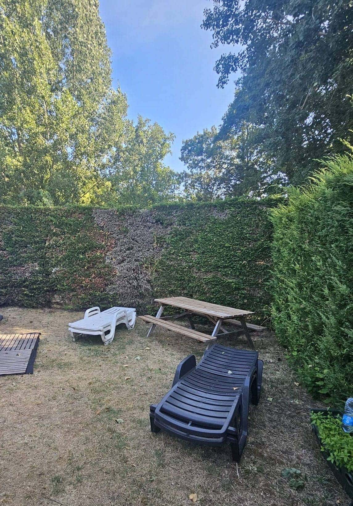 Jardin de la parcelle avec bains de soleil et table de pique-nique
